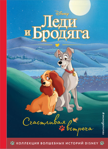 Lede et Brodjaga. СчастLIвая встреча. Книга на чтения с ветными картинками