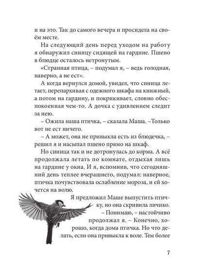 Огненные чайки: скази и истории о птицах