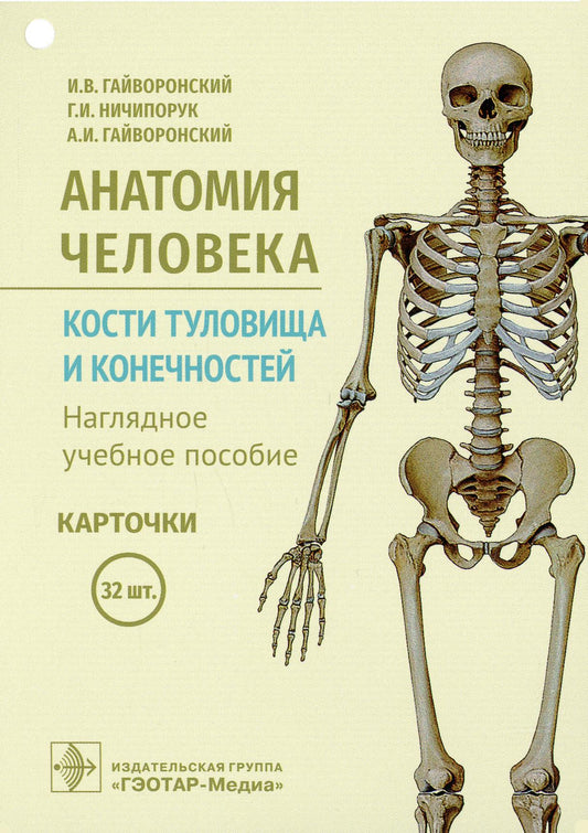 Анатомия человека. Кости туловища и конечностей. Карточки : наглядное учебное пособие / И. В. Гайворонский, Г. И. Ничипорук, А. И. Гайворонский. — Москва : ГЭОТАР- Медиа, 2022. — 32 двустор. карт.