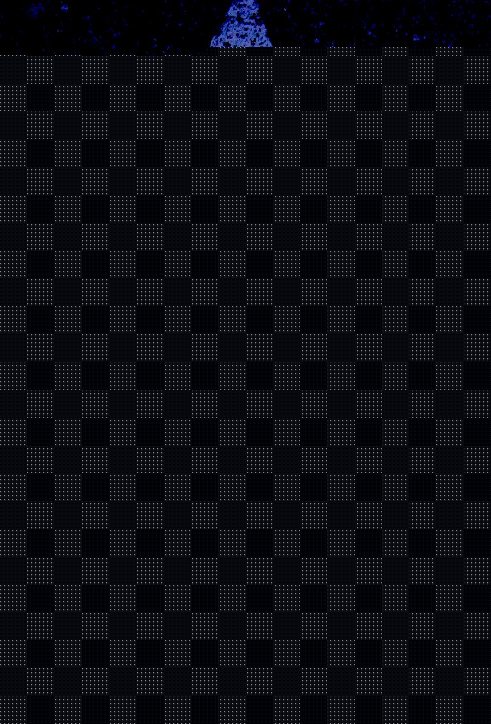 Шаги веры. Руководство к твоему крещению