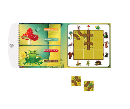 Игра магнитная головоломка "Десятое королевство. Загадки болота"