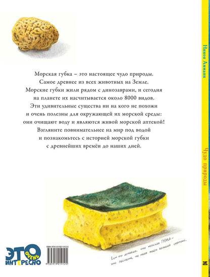 Чудо природы. История морской губки (НОВИНКА)
