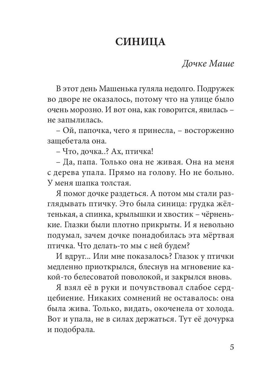 Огненные чайки: скази и истории о птицах