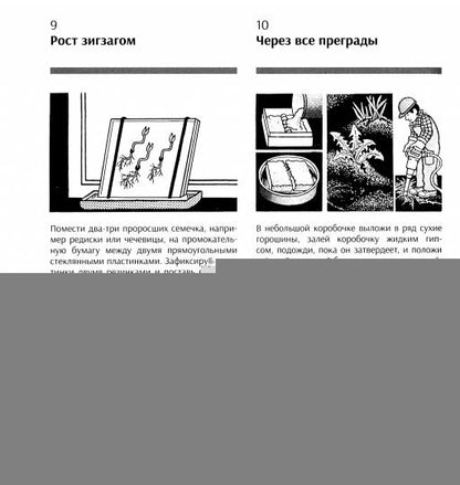 Занимательная наука. Более 400 экспериментов и наблюдений за природой /
