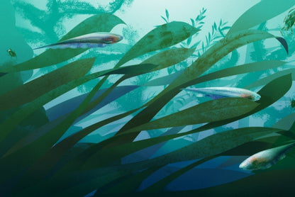 36.АлК.Электрические рыбы (12+)