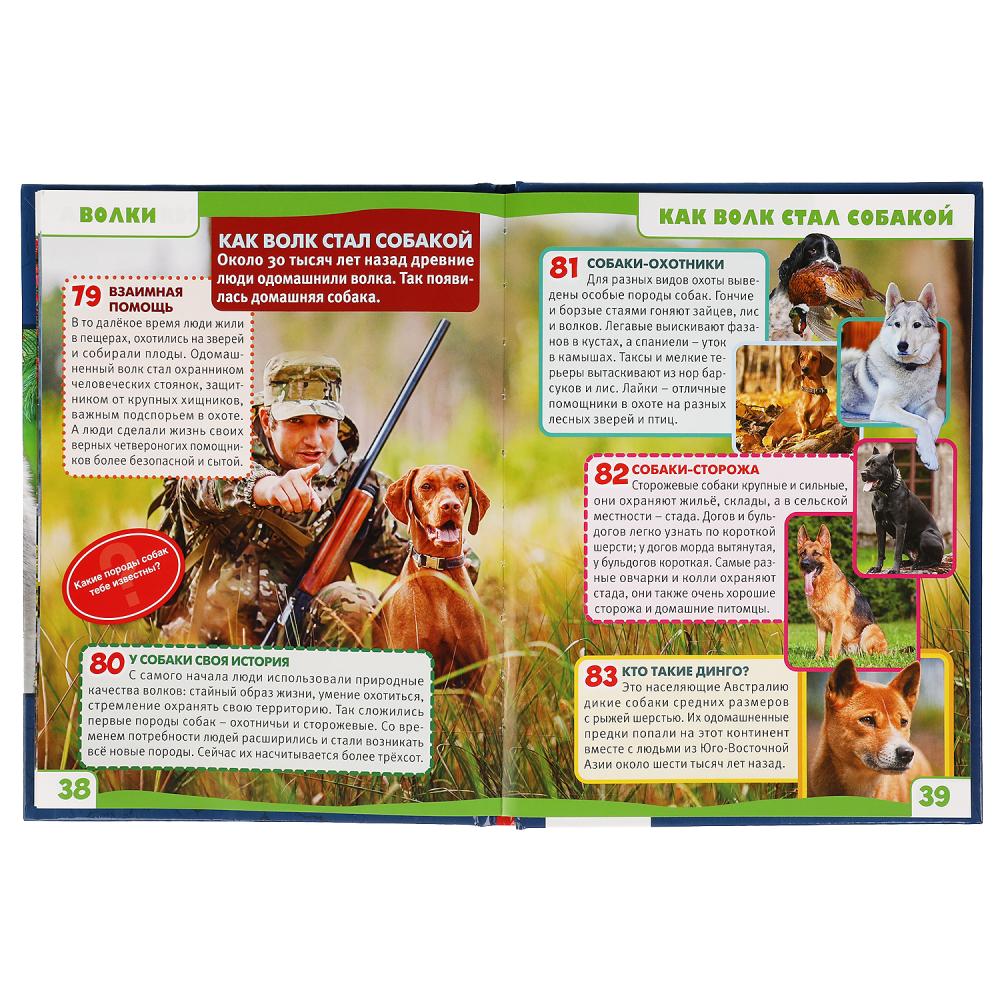 ВОЛКИ. 100 ФАКТОВ. ЭНЦИКЛОПЕДИЯ А5 С РАЗВИВАЮЩИМИ ЗАДАНИЯМИ.165Х215ММ, 48 СТР., УМКА в кор.22шт
