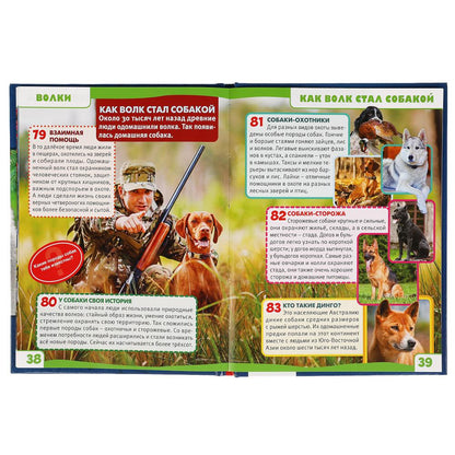 ВОЛКИ. 100 ФАКТОВ. ЭНЦИКЛОПЕДИЯ А5 С РАЗВИВАЮЩИМИ ЗАДАНИЯМИ.165Х215ММ, 48 СТР., УМКА в кор.22шт