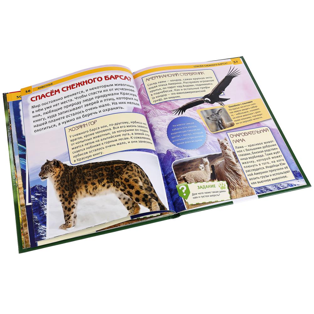 "УМКА". ЖИВОТНЫЕ (ЭНЦИКЛОПЕДИЯ А4). ТВЕРДЫЙ ПЕРЕПЛЕТ. БУМАГА МЕЛОВАННАЯ 130Г. 197Х255 ММ в кор.15шт