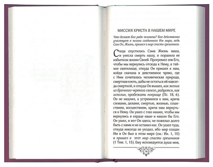 Свет миру: Из творений святителя Амвросия Медиоланского, блаженных Аврелия Августина и Иеронима Стридонского