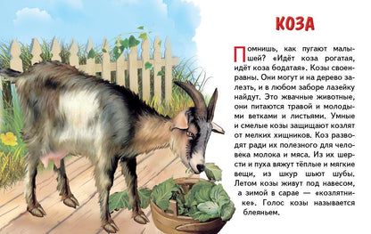 Cartes. Домашние животные ; Cartes. Maison de famille