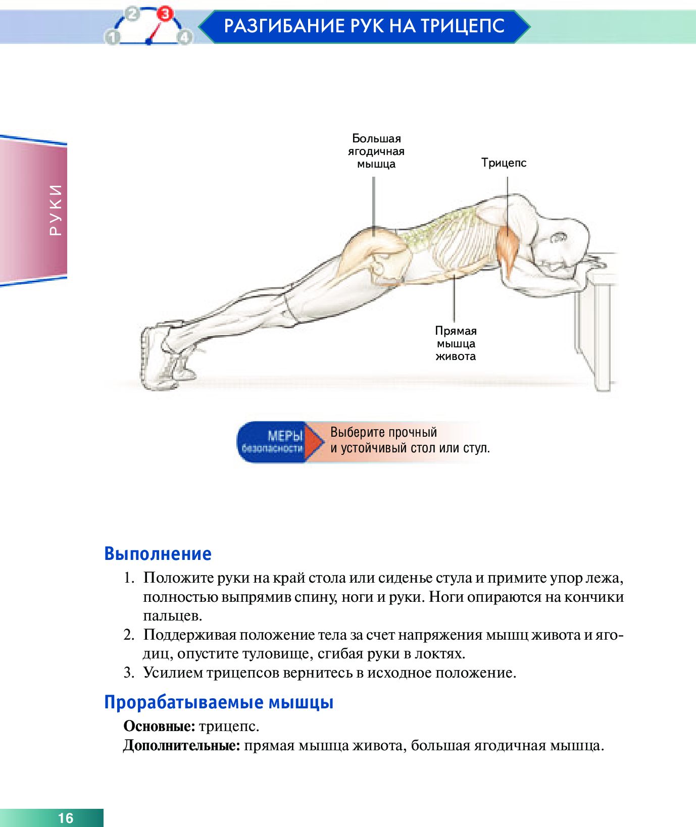 Caractéristiques de l'anatomie du corps avec utilisation dans le cadre de la gestion de votre entreprise