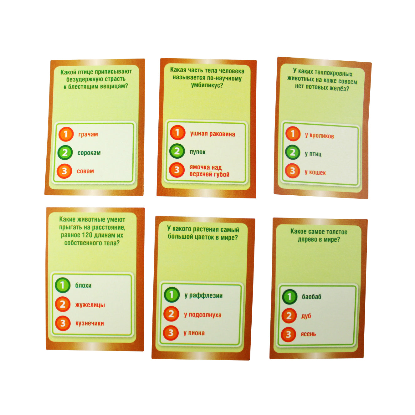 ДК.Игра настольная "Викторина Биология" арт.02831 /7