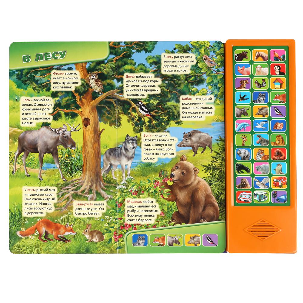 Умка. Мир вокруг нас (33 звук. кнопки, говорящая энциклопедия). 254х295мм, 16 стр. в кор.20шт