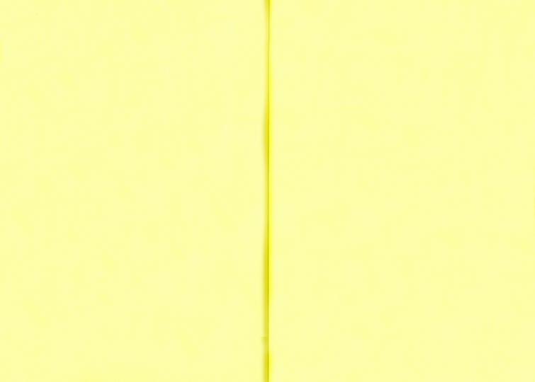 Блокнот "Кактус Кот" утренний / "Catctus", trois (В6, 128 стр., blok желтый)