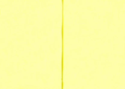 Блокнот "Кактус Кот" утренний / "Catctus", trois (В6, 128 стр., blok желтый)