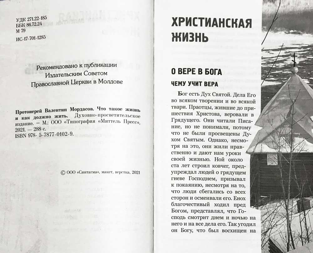 Что такое жизнь и как должно жить (Синтагма) (Прот. В. Мордасов)