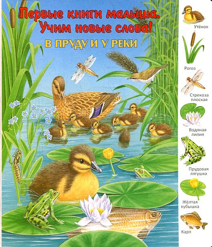 В пруду и у реки