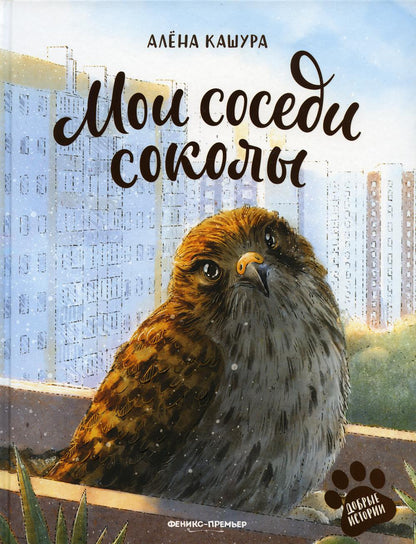 Je suis mon collège