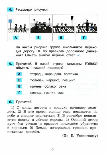 Окружающий мир 1 класс. Surveillance et formation de la grammaire sonore normale (Интеллект-Центр)