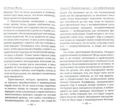 Лестница жизни. Законы управления судьбой. 4-е изд