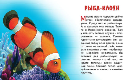 Cartes. Морские животные ; Cartes. Морские животные