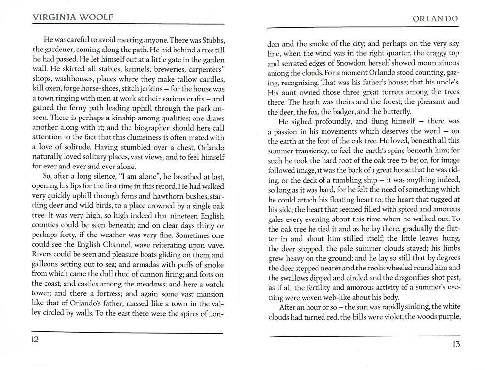 Orlando = Орландо: роман на англ.яз