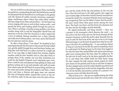 Orlando = Орландо: роман на англ.яз