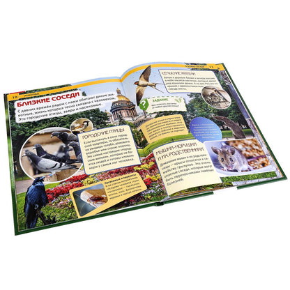 "УМКА". ЖИВОТНЫЕ (ЭНЦИКЛОПЕДИЯ А4). ТВЕРДЫЙ ПЕРЕПЛЕТ. БУМАГА МЕЛОВАННАЯ 130Г. 197Х255 ММ в кор.15шт