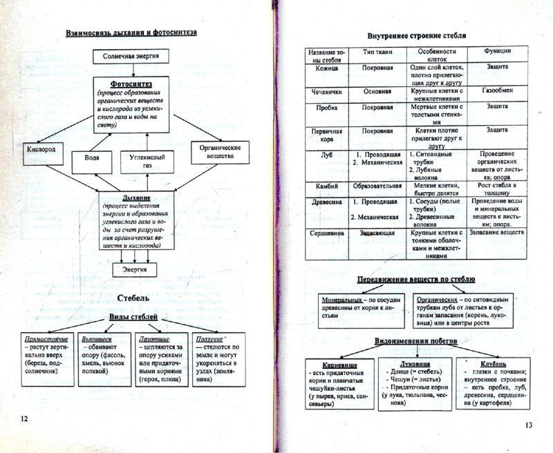 Биология в таблицах и схемах