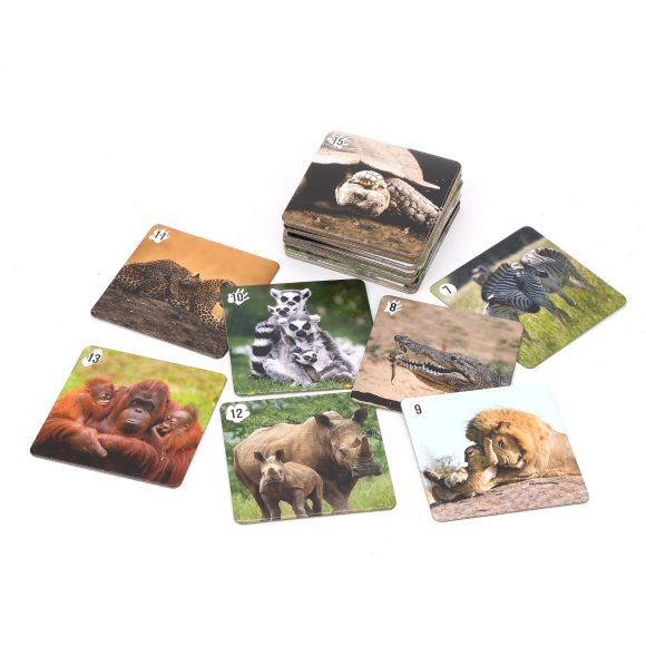 Ми-Ми-Мемо "Африка" (30 карточек) арт.8049 /36