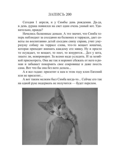 Кот, Домовой et Василий Иванович