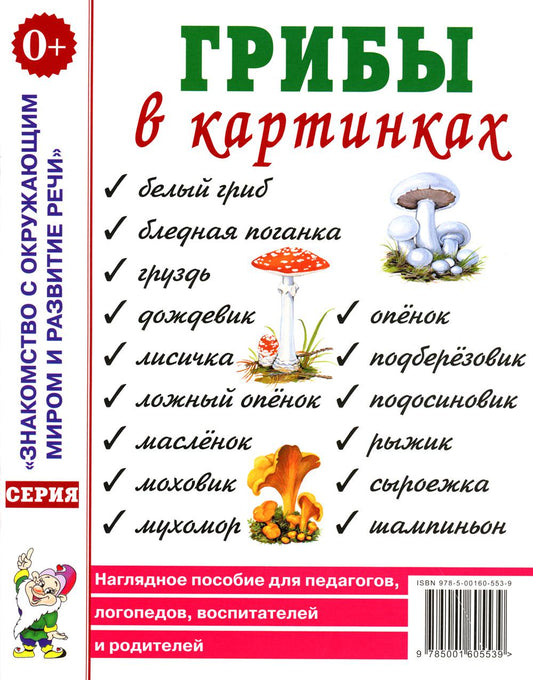 Грибы в картинках. Наглядное пособие на воспитателей, логопедов, педагогов, родителей. A4