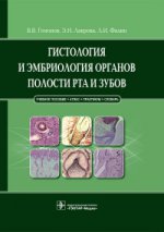 Гистология и эмбриология органов полости рта и зубов : учеб. пособие / В. В. Гемонов, Э. Н. Лаврова, Л. И. Фалин. — М. : ГЭОТАР-Медиа, 2016. — 312 с. : ил.