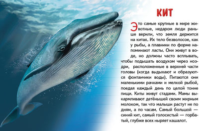 Cartes. Морские животные ; Cartes. Морские животные