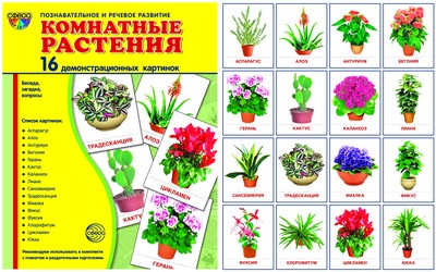 Демонстрационные картинки СУПЕР Комнатные растения.16 демонстр.картинок с текстом. (Сфера картинок)