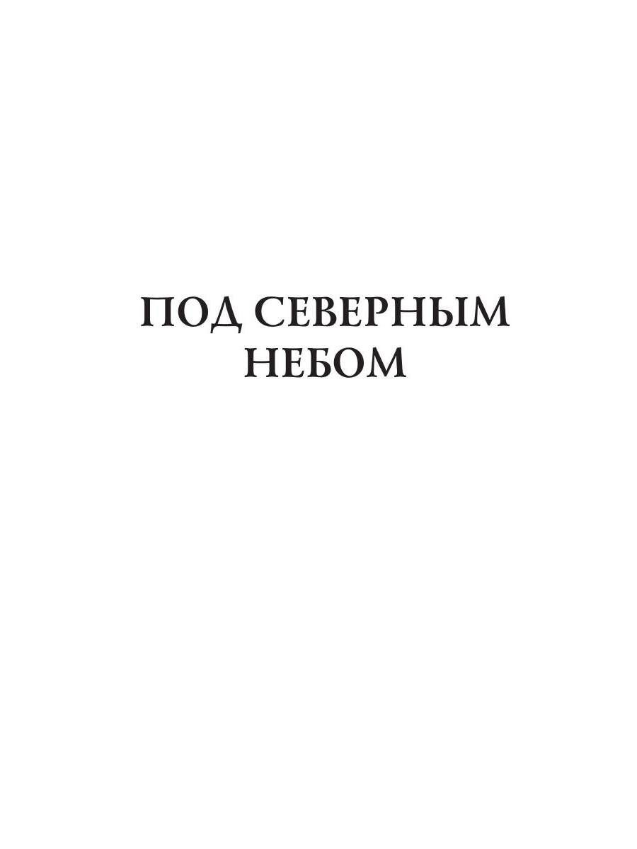 Под северным небом: стихи