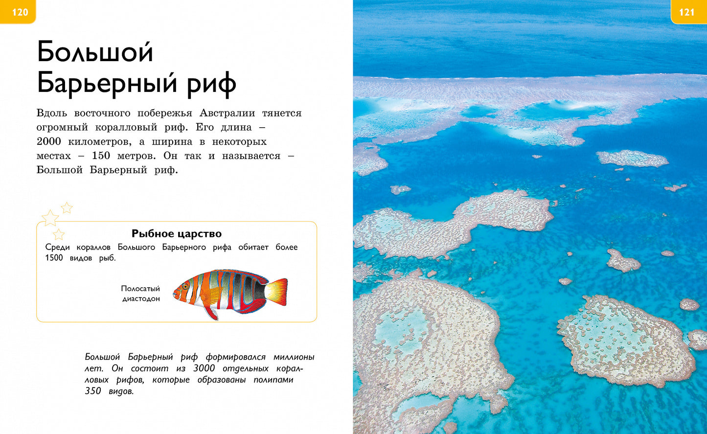 Новая энциклопедия для любознательных