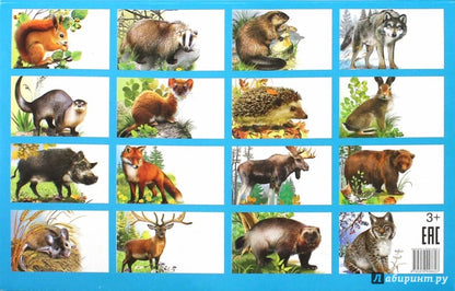 Cartes. Животные России ; Cartes. Животные России