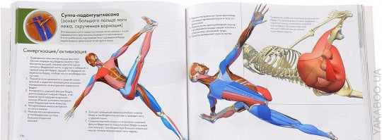 Clés pour les joueurs