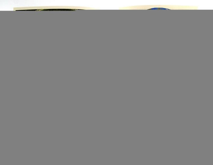 Основы дух.-нрав.культ. Осн.правосл 4кл [Учеб.] ФП