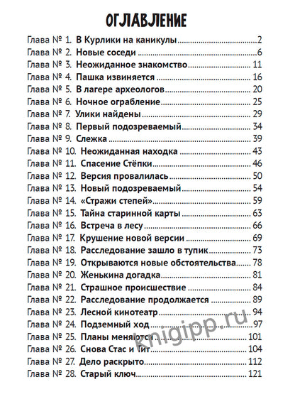 ДЕТСКИЙ ДЕТЕКТИВ. Таинственное ограбление библиотеки