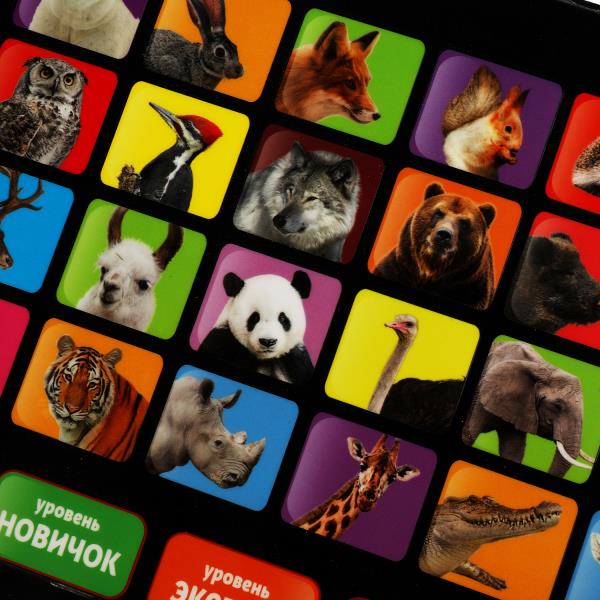 HX82015-R39 (40) Планшет все о мире животных Шаинский музыка обучающий планшет + кор./бат. Умка в ко