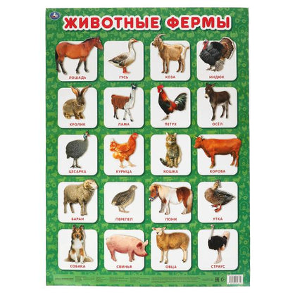 Животные фермы. Plaque A2. Умка уп-10шт в кор.5уп