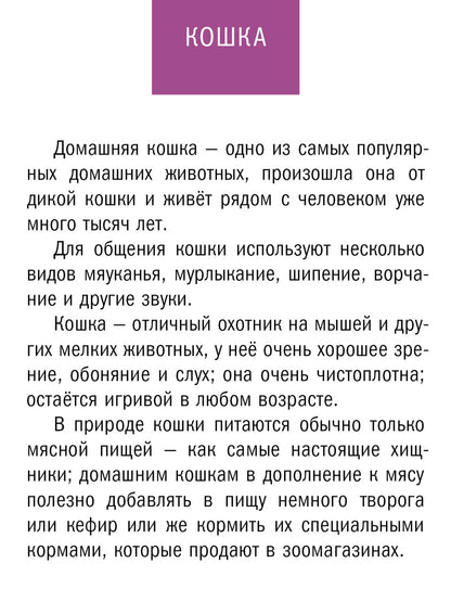 СИУ "62 cartes de taille. Taille"