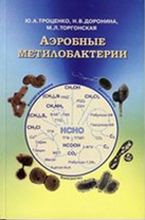 Аэробные метилобактерии