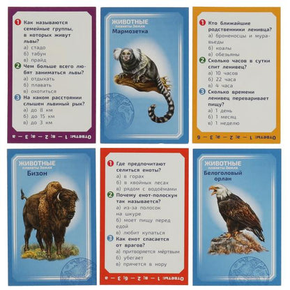 Животные планеты Земля. Настольная игра-квадрат. 40 cartes. 250х250х55mm. Умные игры в кор.10шт