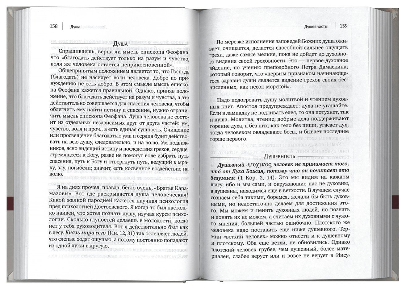 О началах жизни. 3-е изд., испр. je suis d'accord. Игумен Никон (Воробьев)