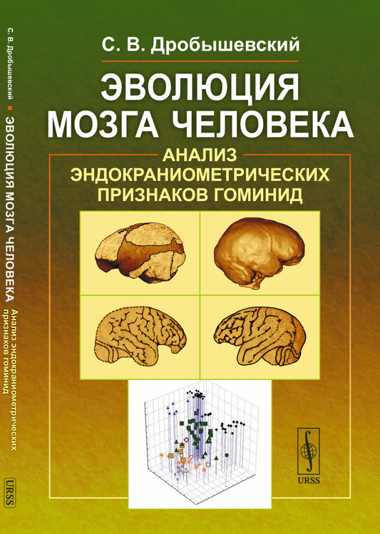 Эволюция мозга человека: Анализ эндокраниометрических признаков гоминид