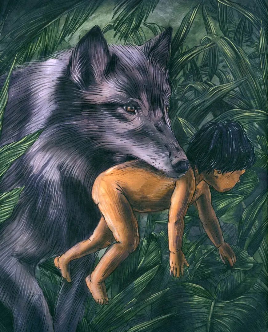 Maugli