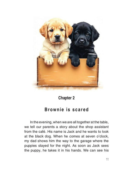 Une famille sympathique книга на англ.языке